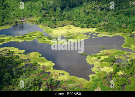 Luftaufnahme des Regenwaldes in der Nähe von Iquitos, Peru Stockfoto