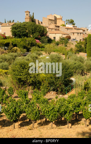 Hügel Dorf von Montouliers mit Reben und Oliven wachsen auf dem Hügel in Herault Abteilung des Languedoc-Roussillon regio Stockfoto