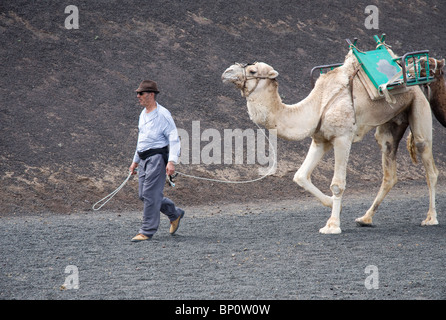 Kamel Zug führend im Timanfaya Nationalpark Lanzarote Kanaren Spanien Stockfoto