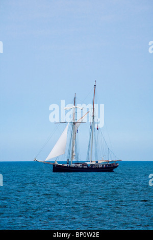 Tall Ships Race 2010, Hartlepool, Cleveland, Nord-Ost-England, UK, GB Stockfoto