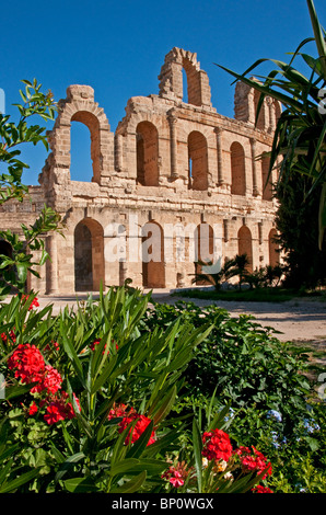 Römische Amphitheater El Djem oder Thysdrus Stockfoto