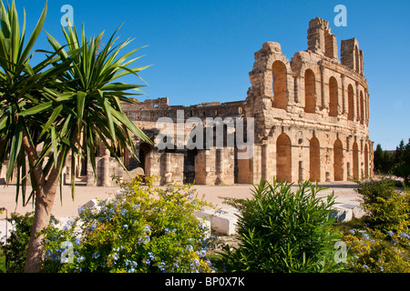 Römische Amphitheater El Djem oder Thysdrus Stockfoto