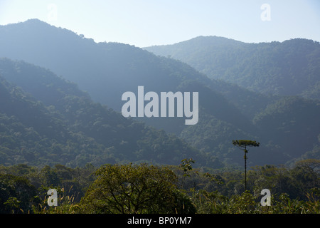 Hügel und Täler in der "Serra do Mar" Stockfoto