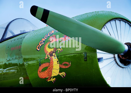 Nahaufnahme von einem Nanchang CJ-6A-Warbird auf der Olympic Airshow in Tumwater, Washington. Stockfoto