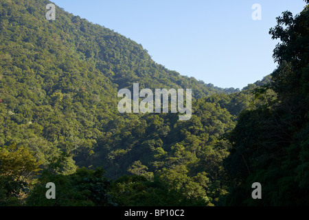 Hügel und Täler in der "Serra do Mar" Stockfoto