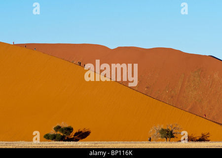 Touristen, die Düne 45 im Sossusvlei in Namibia Naukluft Park zentrale Namibwüste aufsteigend Stockfoto