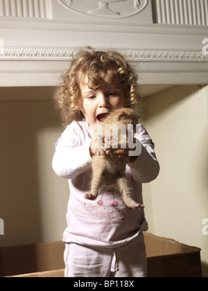 Drei Jahre altes Mädchen schreien vor Freude hält ein Ingwer-Kätzchen Stockfoto