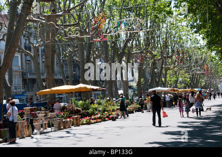 Die Allee Paul Riquet im Zentrum von Beziers, Languedoc, Frankreich Stockfoto