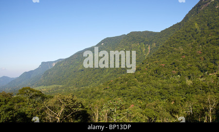 Hügel und Täler in der "Serra do Mar" Stockfoto