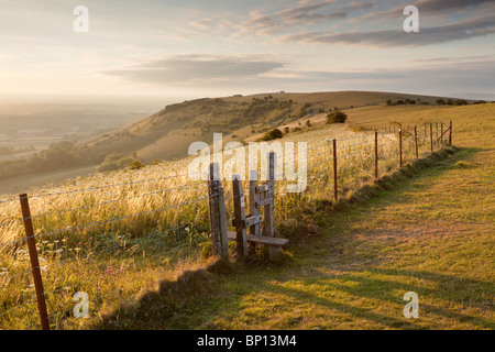 Schöne Seitenlicht auf Ditchling Beacon, South Downs National Park, East Sussex, England Stockfoto