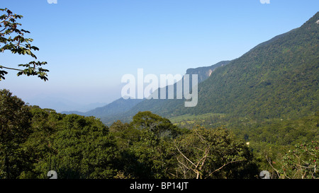 Hügel und Täler in der "Serra do Mar" Stockfoto