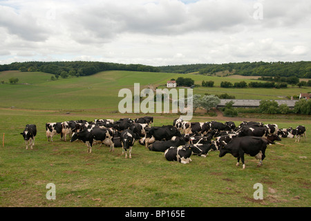 Valley North Downs Way Elham Tal Kent England UK Stockfoto