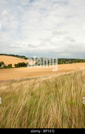 Valley North Downs Way Elham Tal Kent England UK Stockfoto