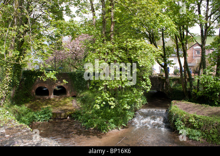 Fluß Exe an Bickleigh Devon England Stockfoto