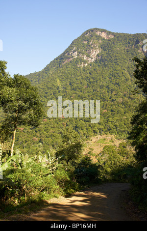 Hügel und Täler in der "Serra do Mar" Stockfoto