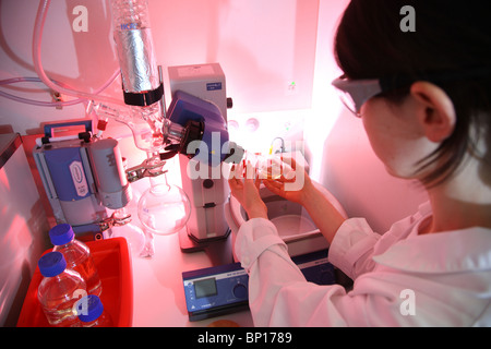 Medizinische Biotechnologie Labors, Zentrum für medizinische Biotechnologie, Universität Essen, Deutschland. Stockfoto