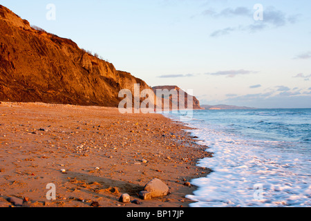 Abendlicht auf den Klippen am Charmouth, Dorset England Stockfoto