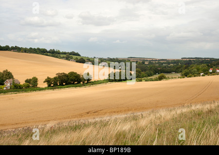 Valley North Downs Way Elham Tal Kent England UK Stockfoto