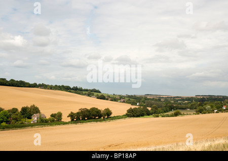 Valley North Downs Way Elham Tal Kent England UK Stockfoto