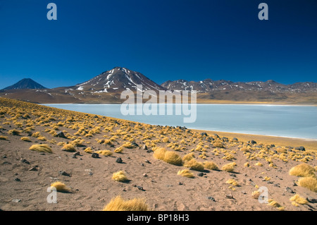 Volcan Miscanti überragt das Salz See Laguna Miscanti, in den Anden von Chile. Stockfoto