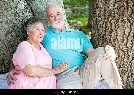 Älteres paar entspannende zusammen im Park unter einem Baum. Stockfoto