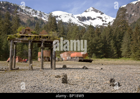 Kleinen Hafen Walter, Drehen der Jahrhundert Hering saltery Ruinen, Baranof Island, südöstlichen Alaska, USA. Stockfoto