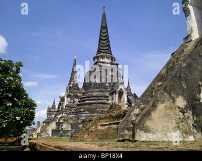 Thailand - Ayutthaya: Wat Phra Sri Sanphet Tempel Stockfoto