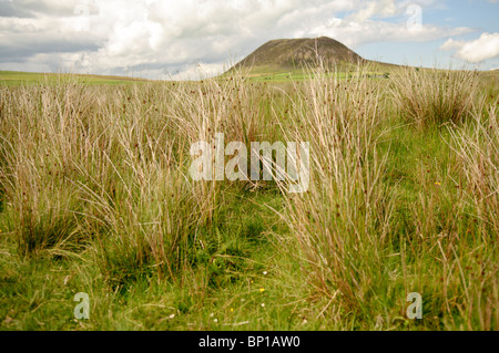 Slemish Mountain/Hill, County Antrim, Nordirland, einen Stecker auswarfen Rock auf dem Gelände eines erloschenen Vulkans. Stockfoto