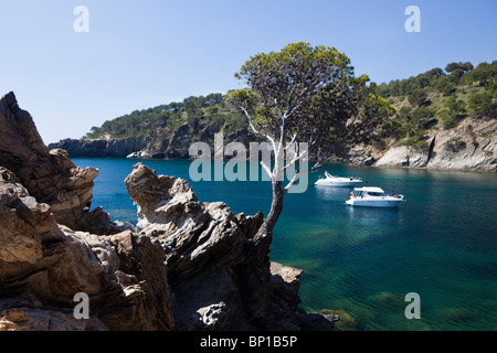 Impressionen vom Cap de Creus, Costa Brava, Spanien Stockfoto