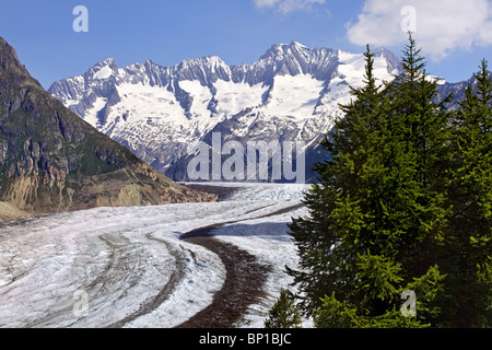 Der große Aletschgletscher Stockfoto