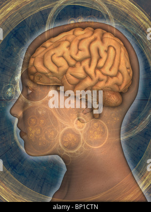 3D Computergrafik: das menschliche Gehirn überlagert den Kopf einer Frau Stockfoto