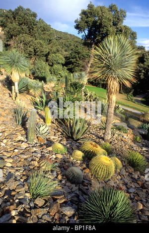 Frankreich, Provence Alpes-Côte-d ' Azur, Var (83), Rayol Canadel-Sur-Mer, Rayol Immobilien Stockfoto