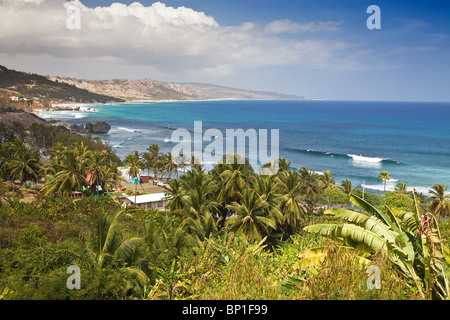 Bathsheba, Ostküste, Barbados, Caribbean Stockfoto