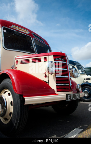 Vintage OB Bedford Busse auf einem Dampf-Messe in England Stockfoto