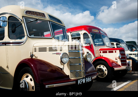 Vintage OB Bedford Busse auf einem Dampf-Messe in England Stockfoto