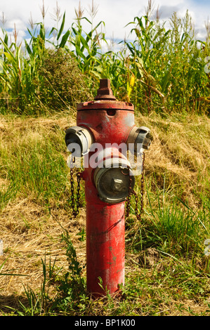 Alten, roten Hydranten - Frankreich. Stockfoto