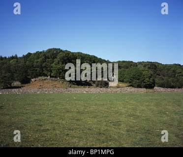 Eichen Blatt unter Gate Crag in Eskdale Spring Lake District, Cumbria England Stockfoto