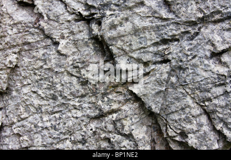 Full-Frame-Nahaufnahme von verwittertem Stein für den Einsatz als Hintergrund oder Textur. Stockfoto