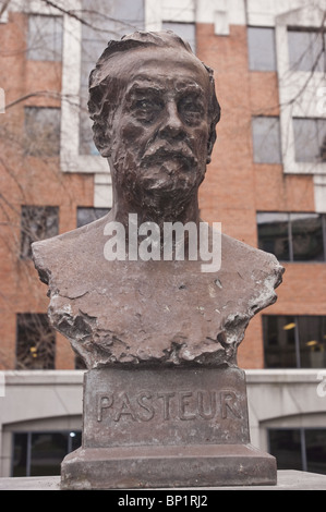 Louis Pasteur Statue, Straße St Denis, rue Saint-Denis, Quartier Latin, Latin Quarter, Montreal, Quebec, Kanada Stockfoto