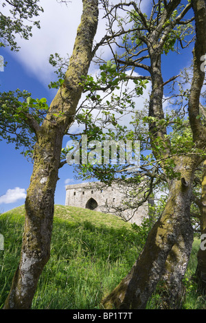Hermitage Castle in der Nähe von Newcastleton in Roxburghshire, 13. Jahrhundert steinerne Festung nahe der schottischen Grenze zu England. Stockfoto