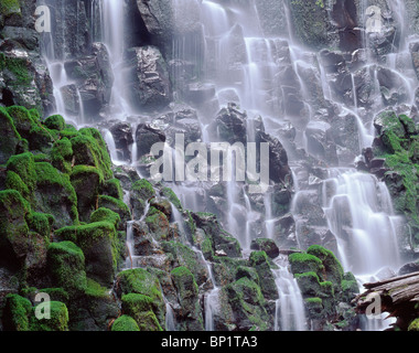 Ramona Falls fällt über einem bemoosten Felsen von säulenförmigen Basalt, Mt. Hood Wilderness, Mt. Hood National Forest, Oregon, USA Stockfoto