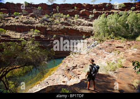 Dales Gorge im Karijini National Park mit Fortescue Falls, Tom Price, Australien Stockfoto