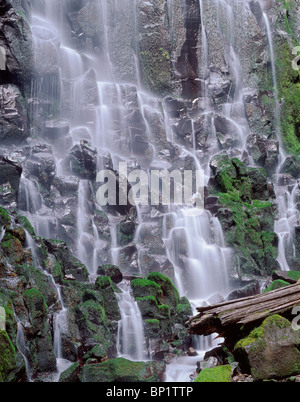 Ramona Falls fällt über einem bemoosten Felsen von säulenförmigen Basalt, Mt. Hood Wilderness, Mt. Hood National Forest, Oregon, USA Stockfoto