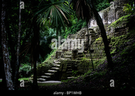 Ruinen eines Tempels in Mundo Perdido oder Lost World in Tikal im Norden Guatemalas Stockfoto