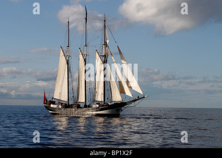 Die Oosterschelde ist ein 3-Mast Schoner aus den Niederlanden, im Jahr 1918 erbaut. Sie ist die größte der niederländischen freightship wiederhergestellt und die einzige verbleibende Niederländische Dreimaster topsail Schooner. Klasse A Tall Ships am Hartlepool Festival Rennen 2010, 54th Tall Ships Race. North Yorkshire, Großbritannien Stockfoto