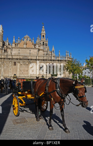 Kathedrale und Giralda Turm mit einem Pferd gezogenen Kutsche im Vordergrund, Sevilla, Provinz Sevilla, Andalusien, Spanien, Europa. Stockfoto