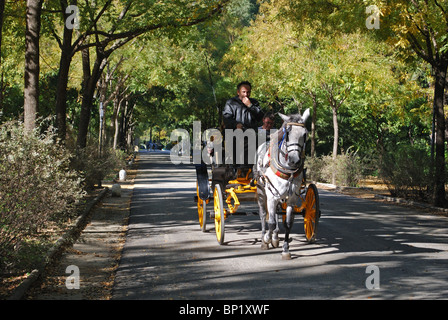 Pferd und Wagen auf der Avenida de Pizzaro im Maria Luisa Park, Sevilla, Provinz Sevilla, Andalusien, Spanien, Europa. Stockfoto