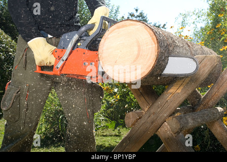 Der Kettensäge schneiden das Protokoll des Holzes Stockfoto