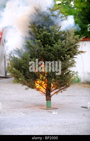 Brennenden Weihnachtsbaum Sequenz. Vom Anfang bis zum Ende. Stockfoto