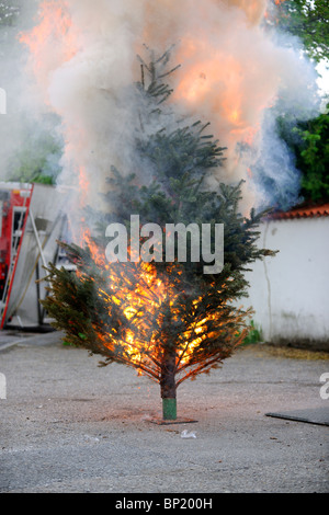 Brennenden Weihnachtsbaum Sequenz. Vom Anfang bis zum Ende. Stockfoto